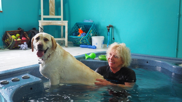 swim therapy for dogs